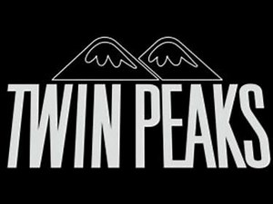 Twin Peaks of Las Vegas Bikini Contest