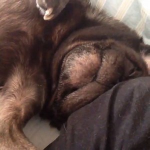 The monster is back again! | Felix Kjellberg