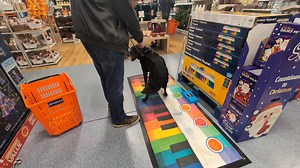 Plinky plinky plonky... 🎹🎶🎵 And lie down. 🤣😴 | Elvis The Boxador