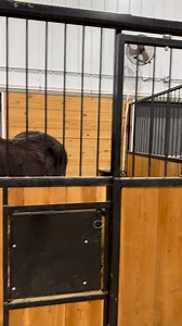 Heated barn? Comfy stalls? AND snacks? Yes please! #wintercold #horses #equine #equinehealth | JR Ranch
