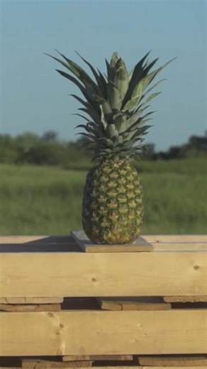 What can we make explode?! 💥 #dudeperfect #trickshot | Dude Perfect