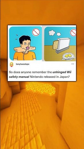 Nintendo Tumblr | The Wii Safety Manual