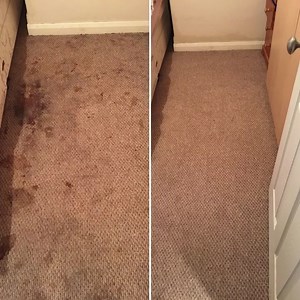 42 reactions · 21 shares |  Our 2021 price guide at Carters Carpet &...