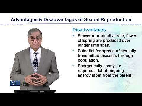 Advantages & Disadvantages: Sexual Reproduction | Animal Form & Function 2 Theory | ZOO517T_Topic125