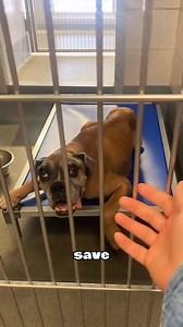 95K views · 5.2K reactions | Mother's final hour without her...