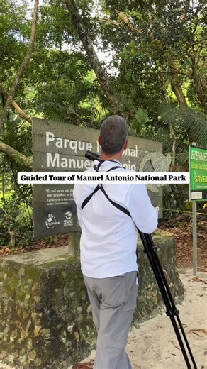 Everyone goes to Manuel Antonio National Park… But most people miss THIS 👇🏽 With no guide, you’ll probably see a few monkeys. 🐒 With Pablo? You enter a whole different world! Walking through the Park with a guide, completely changes the experience 🌿 This is what a guided tour in Manuel Antonio National Park actually looks like: • Spot sloths, monkeys & birds you’d miss on your own • Learn hidden facts about the rainforest • Experience Costa Rica beyond the surface If you’re visiting Costa Ri