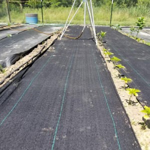 [Hot Item] PP Woven Membrane PE Ground Cover Weedmat Anti Grass Weed Control Cloth Bloker Mulch Film Landscape Fabric Barrier Mat