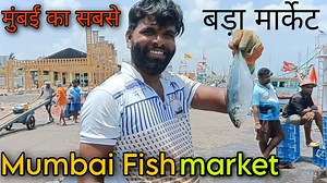 Mumbai Colaba Fish 🐠 market vlog #mumbaifishmarket #fishmarket #colabamumbai #colabfishmarket #fishmarketvideo | Faisal Meer