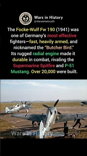 Fw 190 “Butcher Bird” – Germany’s Deadly WWII Fighter ✈️ #ww2