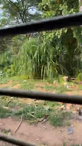 Indian Models on Reels