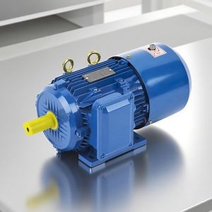 [Hot Item] Motor de Freno 10HP Serie Yej Electromagnético Trifásico Monofásico Motor Asíncrono 1.5kw 2HP Alu Trifásico de Freno