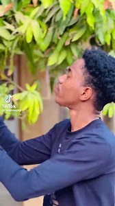 Belle vidéo du beau goss international Wanousky Montana 😍. Quel talent vraiment, comme quoi il n’y’a pas que les esprits de l’humour dans ce corps 😁👏👏. | Abel zamani