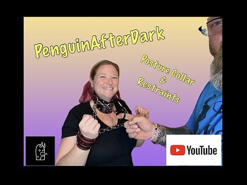 Posture Collar and Restraints