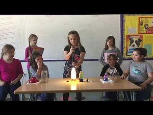 3rd Grade Science Project