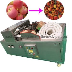 [Hot Item] Automatic Sand Fruit Seed Separator Pitter Machine