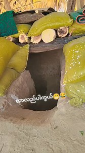 ခေတ်ဆိုး စနစ်ဆိုး မှာလူဖြစ်လာတဲ့လူငယ်များ | Spring Revolution Music Group