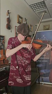 L. Beethoven - Spring Sonata №5 🎻❤️‍🔥 #violin #classicalmusic #violinist #beethoven #sonata #viral