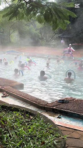 8am Water Aerobics with My Favorite Girls: Morning Swim Routine