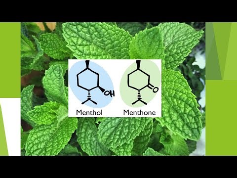 why does mint taste so cool?