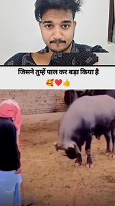 Janwar Ka Pyar 💝👈 #love #motivation #lifelessons #motivationalspeaker #life #power #pyar | Awm Arun Kumar