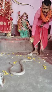 Bundeli tamura bhajan #bhajan #bundeli #rai #bundelilokgeet #tiktok #viral #instagood #pyar | Sharma Anshul Anshul Rajak