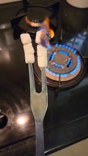 Marshmallow on Fire