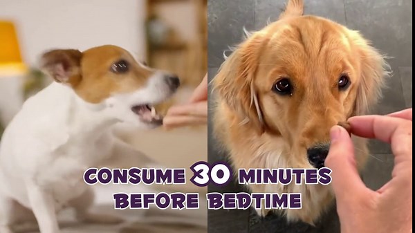 Sleep Aid for Dogs, Melatonin for Dogs, Dog Melatonin Drops Supports Dog Sleep, Dog Anxiety Relief, Calming Dogs and Regulates Sleep Patterns - Pet Supplements Liquid Vitamins, Bacon Flavour - 2 Fl Oz