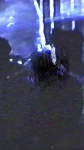 4.3K views · 87 reactions | Ten days til’ Doom. Club Doom returns to satisfy your darkest rave pleasures on the dancefloor 鹿睊 | Cruel World Fest | Facebook