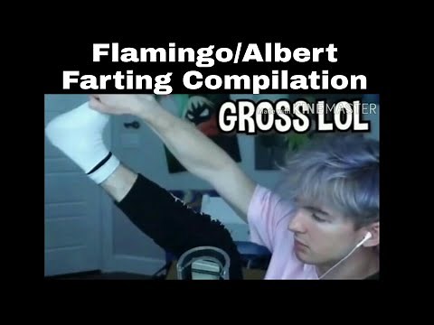 Flamingo/Albert Farting Compilation 💨😷