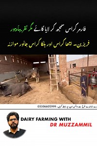 #DairyFarmingPakistan #LivestockPakistan #MilkProduction #ModernDairy #FarmersOfPakistan #AgriAwareness #SustainableFarming #RuralDevelopment #FoodSecurityPakistan #AgriInnovation | Dairy Farming with Dr-Muzzammil