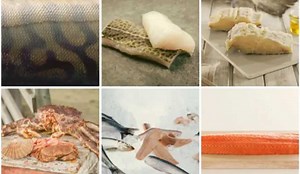 Norwegian Seafood Exports Equal Earlier July Records | Fish Focus