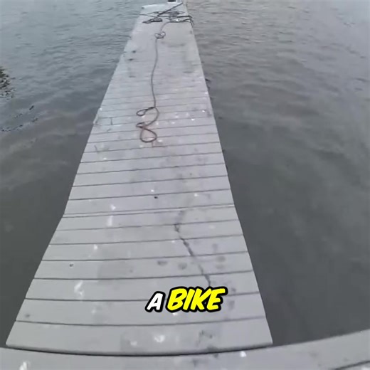 10K views · 168 reactions | The Fisher on Reels | Facebook