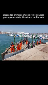 1.5K views · 18 reactions | Viva Barbate on Reels | Facebook