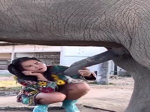 Contempla bien atenta cómo se le pone grande al elefante