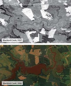 Sea Level Rise and Delaware's Wetlands - DNREC
