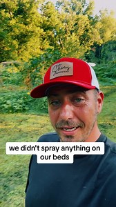 Secret Garden Bed Magic | Outsmarting Bugs Naturally! #gardening #tipsandtricks #organic #homestead #growyourownfood | Stivers Homestead