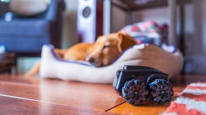 Remotely Patrol Your Home with Moorebot Scout