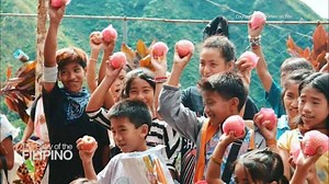 3.7K views · 60 reactions | The Story of the Filipino features three...