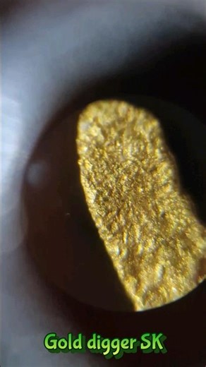 Gold after the Break: Uncover the Secrets of Panned Gold Under the Microscope!