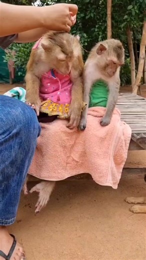 Mommy dress 👗 YaYa 🥰🥰 | YaYa Family