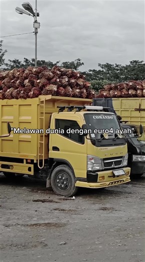 Yoga Willy Amanda on TikTok