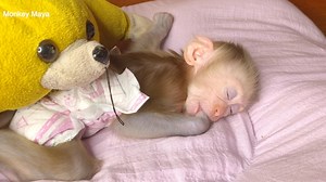 46K views · 214 reactions | Grandma Comfort Baby Mano To Sleep WellAfter Milk | Monkey Free | Facebook