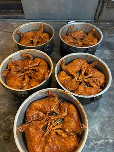 Lahoris Eating Rs : 12000 salim Bakra In aftari 😂❤️ | Foodies by Ashir