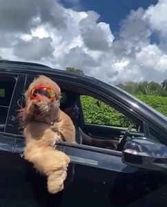 55K views · 2.1K reactions | Showtek on Reels | Facebook