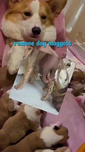 acne_attracive on TikTok