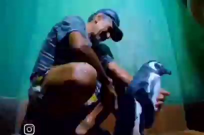 Um pescador em Ilha Grande encontrou um pinguim coberto de óleo, quase sem vida.Levou pra casa. Limpou. Alimentou. Cuidou.Devolveu ao mar.O pinguim foi embora… E voltou.Todo ano, por 7 anos seguidos, atravessava milhares de quilômetros desde a Patagônia só pra reencontrar quem tinha salvado sua vida. Ficava meses. Deitava no colo dele. E só ele podia tocá-lo.“Eu amo esse pinguim como um filho”, disse o pescador. “E acredito que ele também me ama.”O amor não se limita a espécies. Mas tem uma part