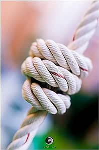 Ravenox Twisted Poly Dacron Rope | (White)(2 inch x 600 ft) | ANSI OSHA Fall Protection Cord | Soft Strong Cordage for Tree Work, Tent Rope, Guy Lines, Scaffolding, Boating, Fishing, Mooring, Tow Line