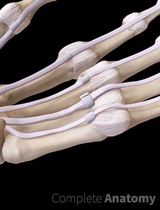 7.9K views · 49 reactions | Trigger finger is a condition of the hand...