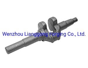 [Hot Item] Custom Forged Crankshaft