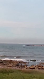 🇺🇾🐋🐳#ROCHA 🐳🐋 Avistamiento de ballenas en Cabo Polonio, Rocha, 18.00 hs., (frente al faro y entre la costa y las islas). 📽Stephany BallenasUy CadenaDelMar | Pedro Olivera